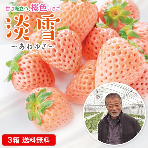 [Release date: February 4, 2026]＼甘さ際立つ桜色の宝石。佐賀県産「淡雪（あわゆき）」／肥沃な土壌と良質な地下水に恵まれた佐賀県白石町からお届けする、まるで春を先取りしたような桜色のいちご「淡雪（あわゆき）」。...