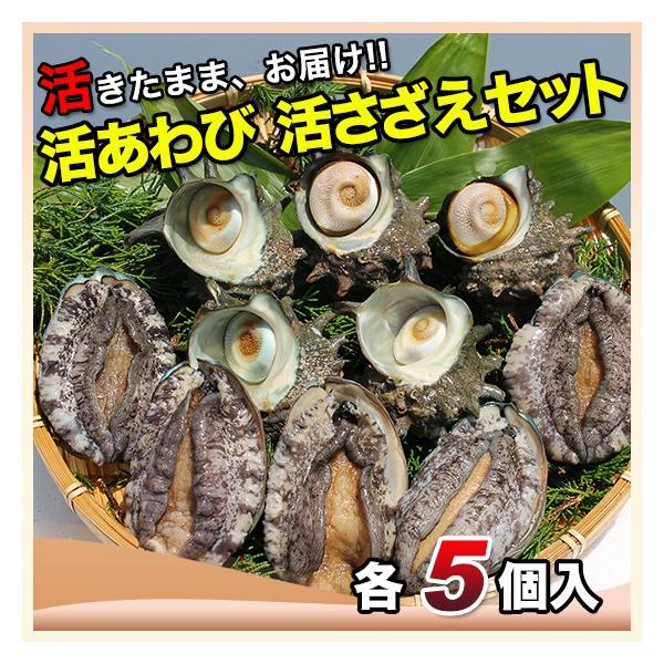 ї{Bi؍Yje5k܂܊CE_fł͂܂lTރJ[VsEREfU[giCt