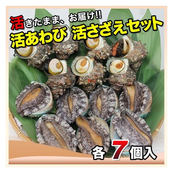 ї{Bi؍Yje7k܂܊CE_fł͂܂lTރJ[VsEREfU[giCt