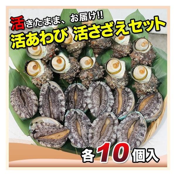 ї{Bi؍Yje10k܂܊CE_fł͂܂lTރJ[VsEREfU[giCt