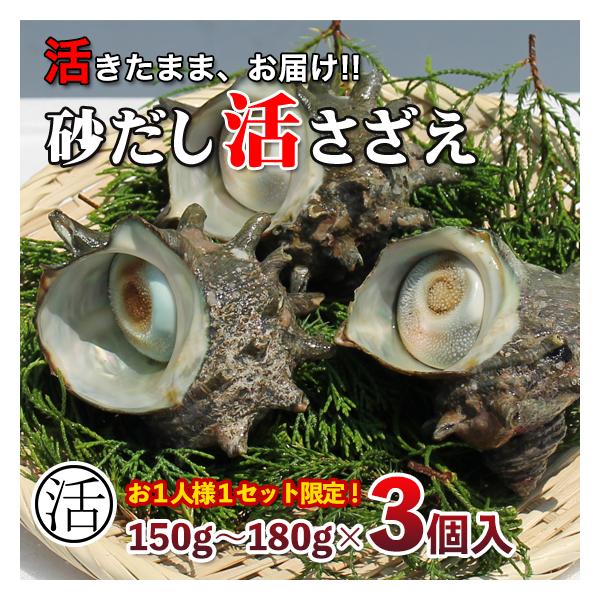 スマホ・タブレットの方は「ここをタップして」スクロールすると商品ページが見られます！！　　　一家族　1ケース　限定　お試し用　活さざえ（サザエ）贈答用(ギフト用）のし付　〔送料無料〕1カット1カット５種類のカラーレシピ解説　〔保存方法〕〔軍...