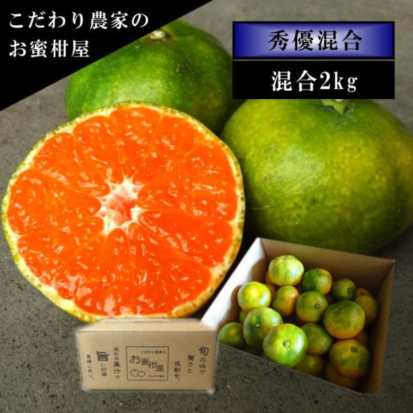 グリーン ハウスみかん 温室みかん お中元 甘い 送料無料 ギフト 高級 贈答 農家直送 新鮮 濃厚 (36) グリーン蜜ツ星 みつぼし サイズ混合 お試し品 約２ｋｇ入