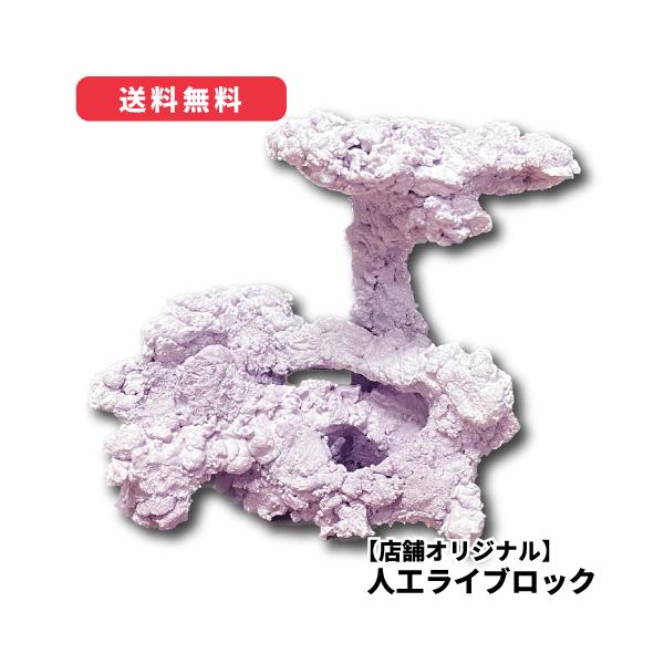 オリジナル 人工ライブロック サイズ：16cm (高)×18cm (横)× 12cm (奥