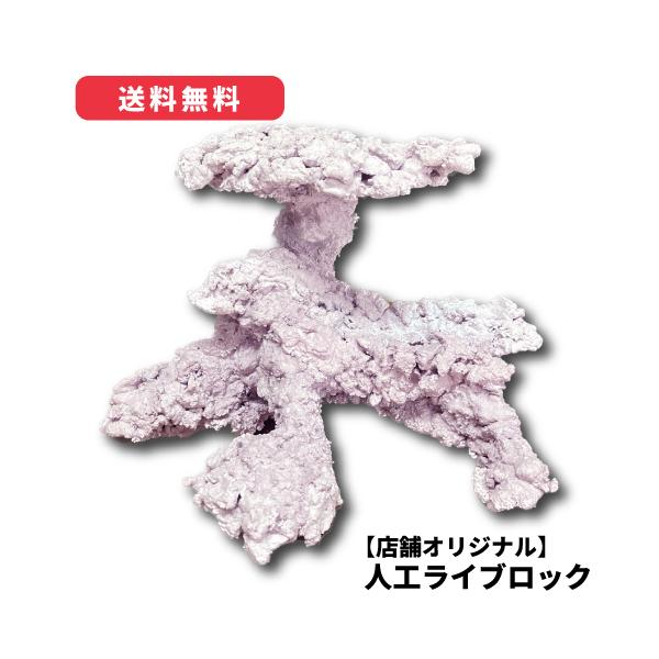 オリジナル 人工ライブロック サイズ：15cm (高)×22cm (横)× 17cm (奥