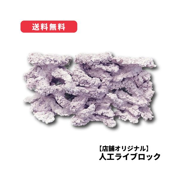 オリジナル 人工ライブロック サイズ：21cm (高)×43cm (横