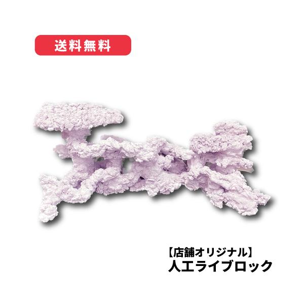 ライブロック一式 楽天市場】ライブロック アーチの通販