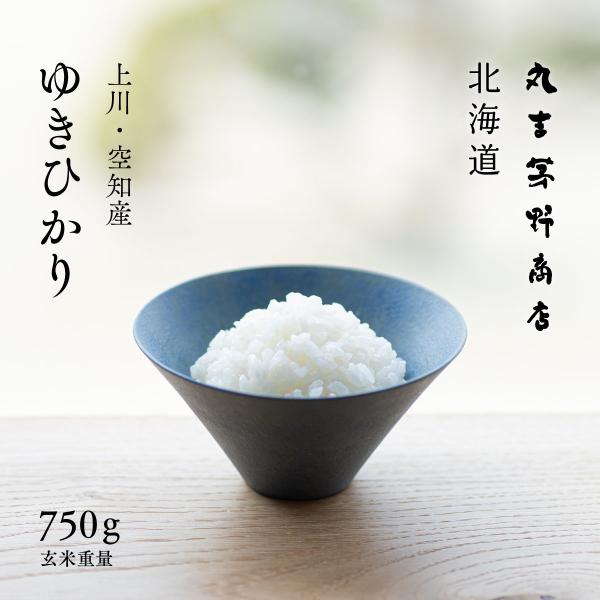 北海道産 ゆきひかり お試し 750g 5合 玄米 白米 令和7年産 米 お米 送料無料