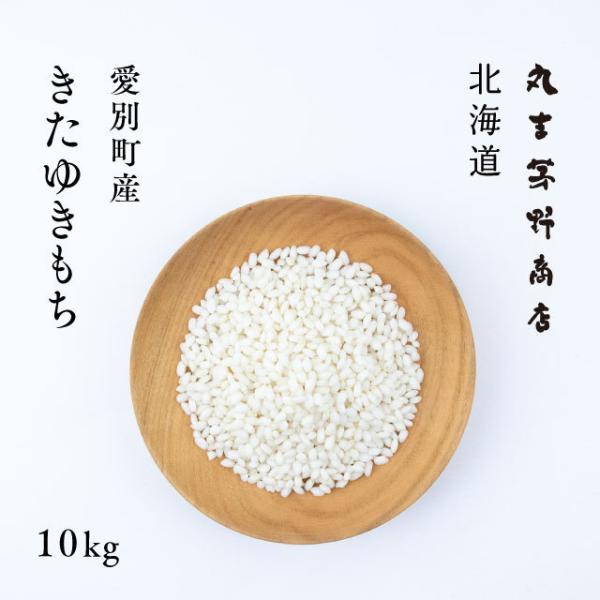 北海道産 きたゆきもち 10kg 5kg×2袋 令和7年産 もち米 送料無料 真空パックに変更可