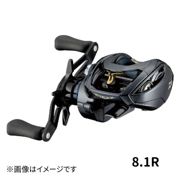 DAIWA（ダイワ） スティーズ (STEEZ) A TW HLC 8.1R : つり具の