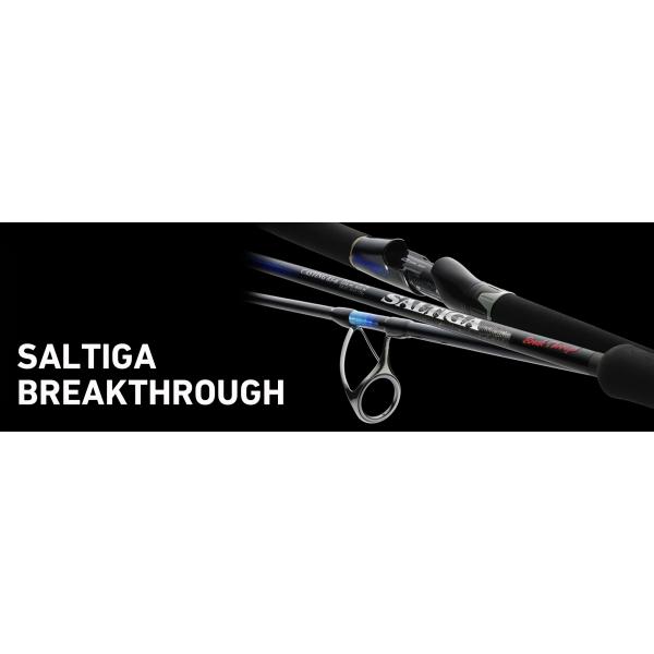 DAIWA（ダイワ） ソルティガ ブレイクスルー C710−8 SALTIGA