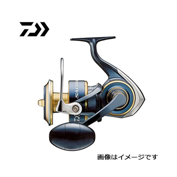 DAIWA（ダイワ） 20 ソルティガ 8000-H 近海のキャスティングや