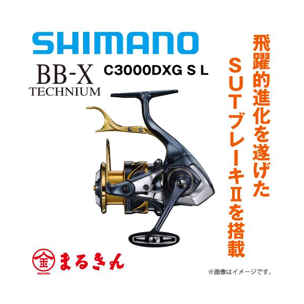 V}m 21BB-X eNjETECHNIUM C3000DXG S L nh SUTu[L XsjO[( o[u[L)