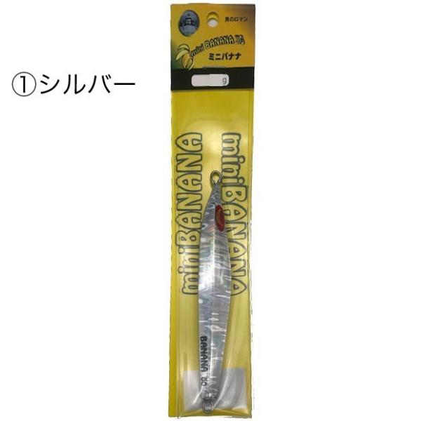 �K���� �~�j�o�i�i�W�O 55g ���C�g�W�M���O ���D�����۔�