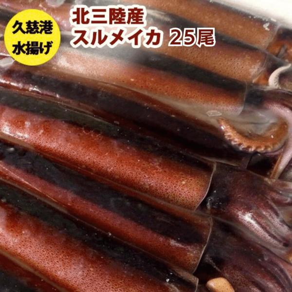 送料無料 鮮度超抜群 スルメイカ 冷凍 25尾入り(約4.5kg〜約5.5kg) するめいか 急速冷凍釣りイカを氷ごと急速冷凍