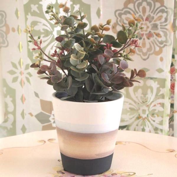 光触媒インテリアグリーン 【RMTポット フォールユーカリ】