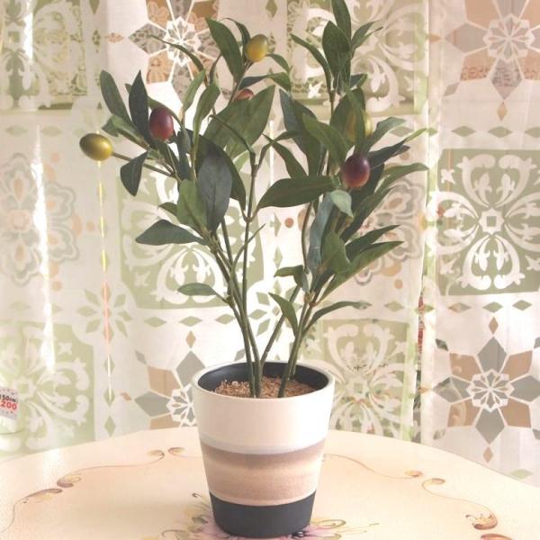 光触媒インテリアグリーン 【RMTポット オリーブ】