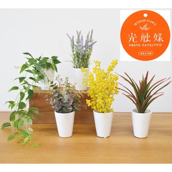 送料無料　光触媒インテリアグリーン　SRポット