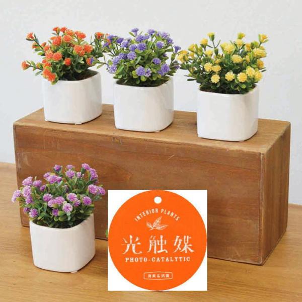 消臭・抗菌・自浄効果のある光触媒加工がされている人工観葉植物（造花）です。光触媒加工は国内で、葉一枚一枚まで人の手によって施されております。本物とは違い害虫が発生することはありませんし、綺麗な見た目を保つ為の心配がなく、水やりもいらないので...