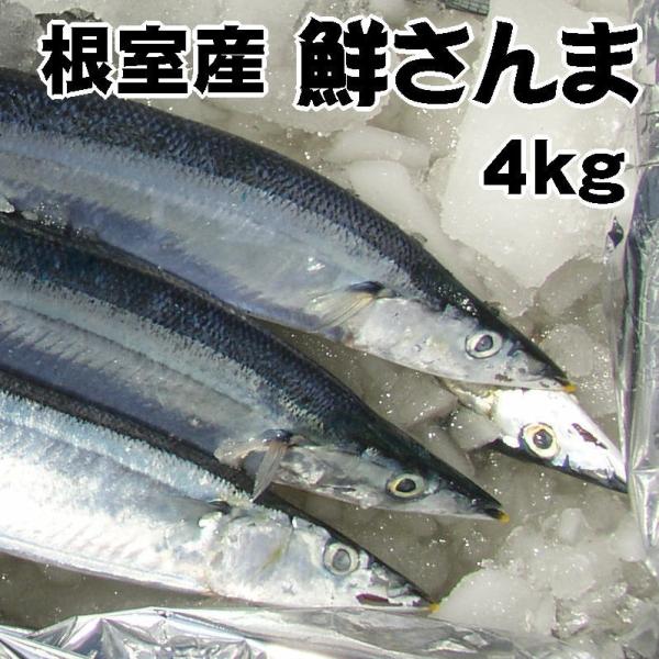 しれとこ本舗 北海道根室産 さんま 約4kg（40～42尾）