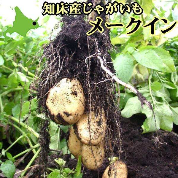 ■商品について■2025年秋から貯蔵庫で寝かせていた越冬じゃがいもを北海道から産地直送します！知床連山の麓で栽培された「メークイン」です。サイズはM〜Lが中心の混み玉になります。■納期■次回２月下旬よりご注文順に発送予定です。■配送について...