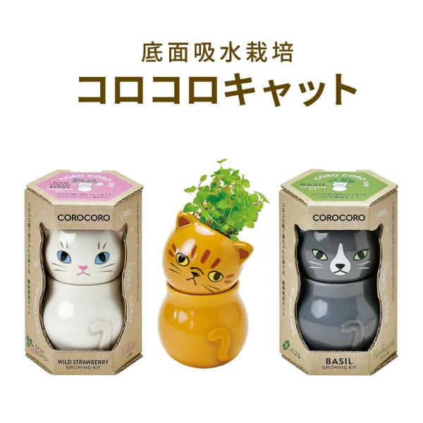 【商品名（JAN）】コロコロキャット 茶/ミント（4528757042037）コロコロキャット グレー/バジル（4528757042044）コロコロキャット 白/ワイルドストロベリー（4528757042051）【商品サイズ（約）】幅6.3...