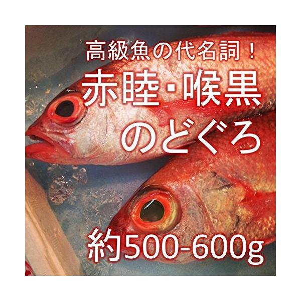 鮮魚 むつ みんな探してる人気モノ 鮮魚 むつ