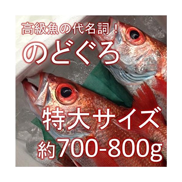 鮮魚 むつ みんな探してる人気モノ 鮮魚 むつ