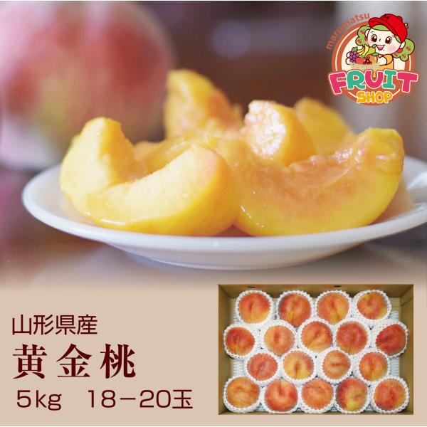 【送料無料】ギフト 黄金桃 山形県産 お徳用 5kg（18-20玉） 黄桃 モモ もも