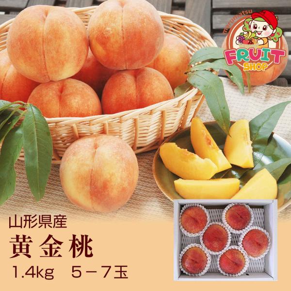 【送料無料】ギフト 黄金桃 お試し 山形県産 1.4kg (5-7玉) 黄桃 モモ もも