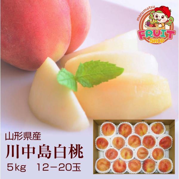【送料無料】予約　山形県産 川中島白桃 お徳用 5kg(12-20玉) モモ もも　ギフト 白桃 送料無料