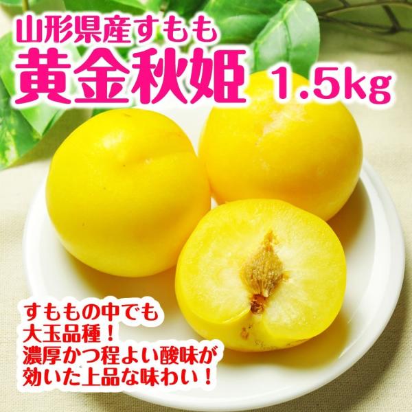 すもも プラム 送料無料 黄金秋姫 1 5kg 9 12玉 山形県産 李 Buyee Buyee Jasa Perwakilan Pembelian Barang Online Di Jepang
