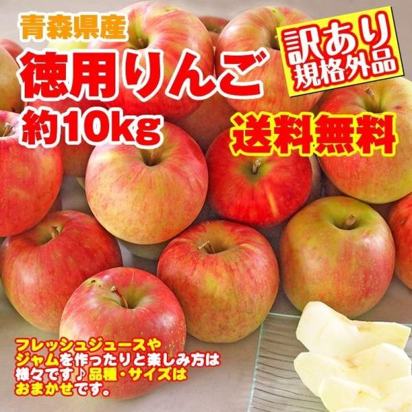 ◆小傷・着色不良・色ムラ・変形・未熟・過熟、無選別のため、ジュース・ジャム、お菓子作りなど、主に加工用としてご家庭でお楽しみ下さい！品種はおまかせで、その時期のりんごをお届けします。※傷みや腐れで食せないものは含みません。●産地：青森産●内...