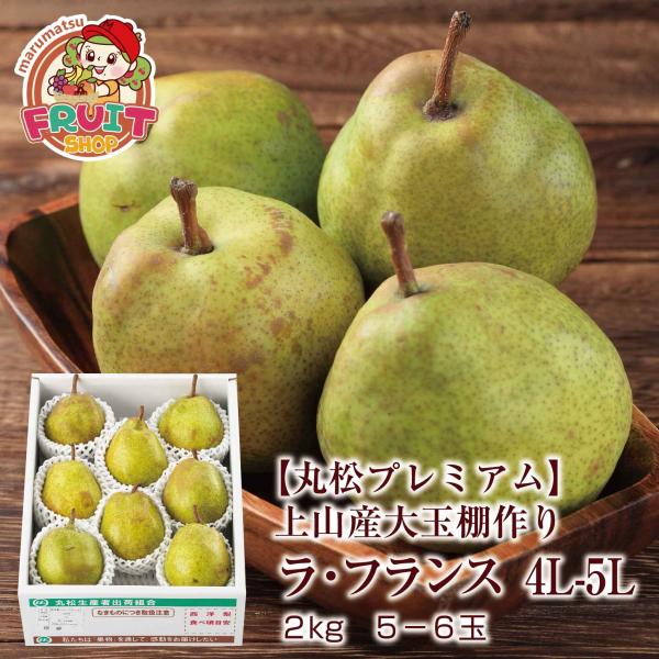 珍しい棚作りラ・フランス！ギフト ラ・フランス 送料無料 洋梨 山形県