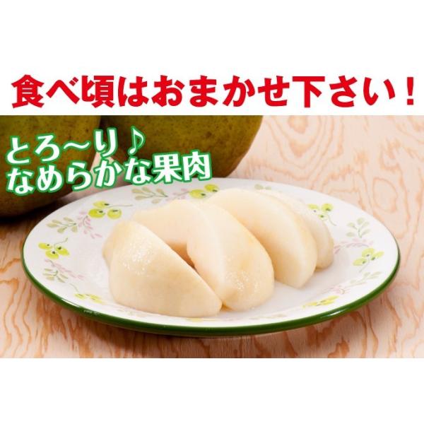 �y�\��z�M�t�g ���E�t�����X �������� �m�� �R�`���Y 3.2kg�i8-10�ʁj3L-5L ���t�����X ���i�摜2