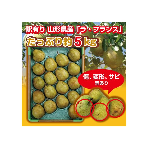 EtX L  m R`Y 5kgiTCY܂jtX