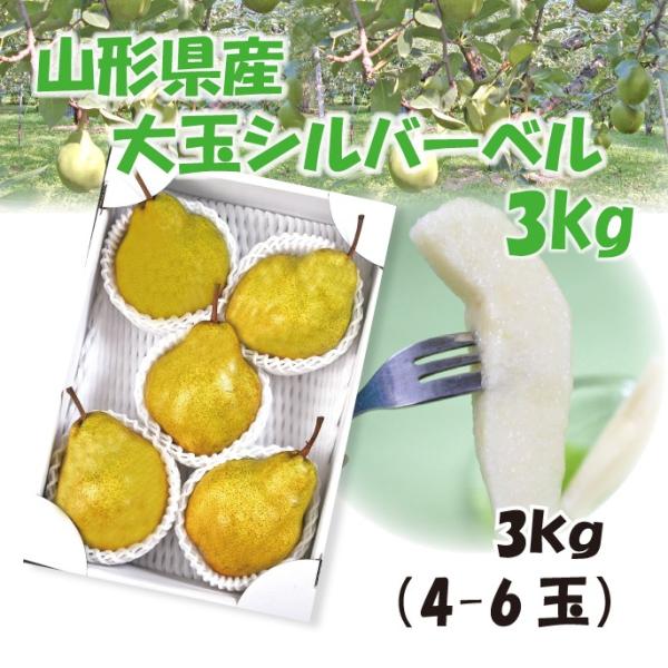 ̑傫IH׉_IMtg m   R`Y Vo[x 3kgi4-6ʁj4L-6L