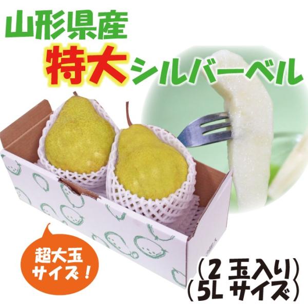 ƂEɐHׂɁIMtg m  R`Y m Vo[x Qʓ