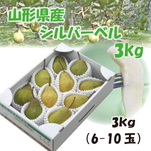 u₩ȊÂIMtg m  R`Y m Vo[x 3kgi6-10ʁjL-4L