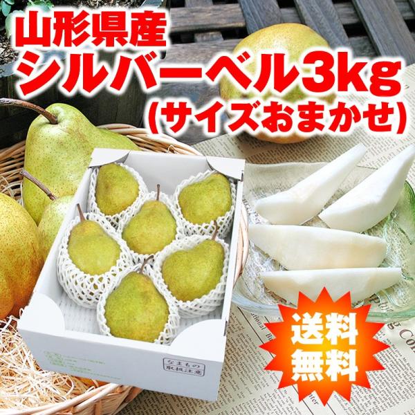 【前払い不可】　ギフト 洋梨 送料無料 山形県産 西洋梨 シルバーベル 3kg（サイズおまかせ）