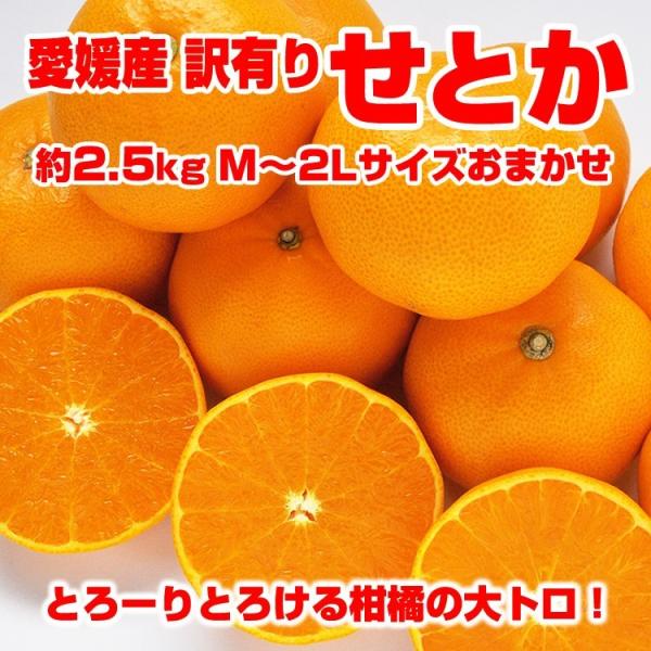 せとか 訳あり 送料無料 2.5kg サイズおまかせ M-2L混合 みかん 愛媛