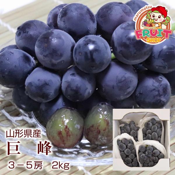 香り豊かな強めの甘味と、きめ細かな風味！ギフト ぶどう 山形県産 大粒 巨峰 2kg(3-5房) 葡萄 種なし