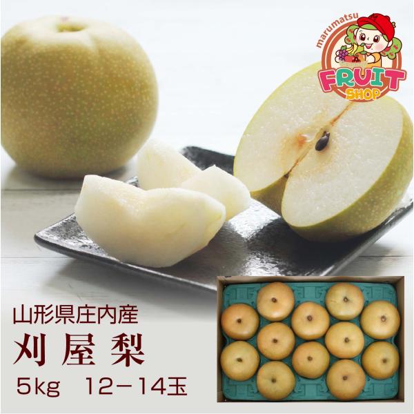 果汁たっぷりな、ジューシー過ぎる梨【送料無料】梨 幸水 山形県 庄内産 刈屋梨 5kg(12-14玉) 和梨
