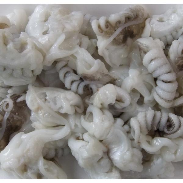 【イカ専門店】紋甲イカゲソ　13/20（13〜20尾／１ｋｇ）いかげそ、下足　A01616