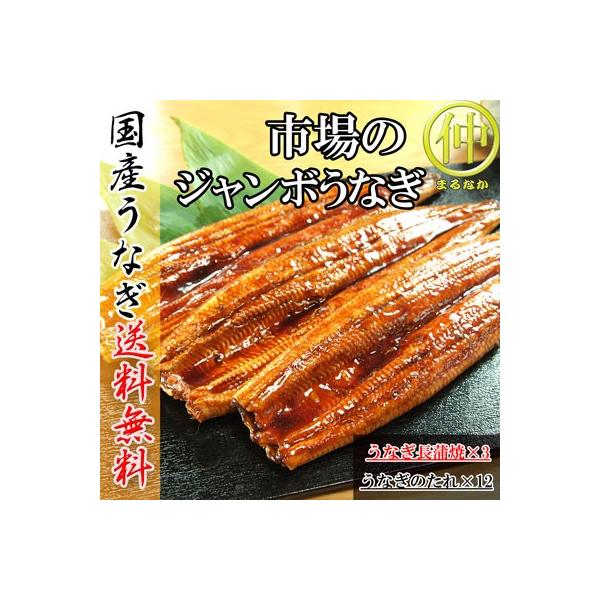 市場のジャンボうなぎ（うなぎ長蒲焼約200ｇ×3）   国産　土用の丑の日　送料無料 うなぎ