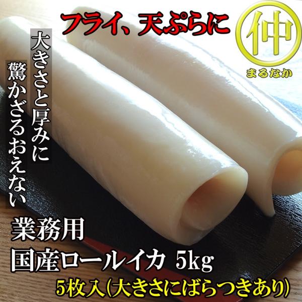 国産ロールイカ　5ｋｇ　6尾 アカイカ 冷凍イカ