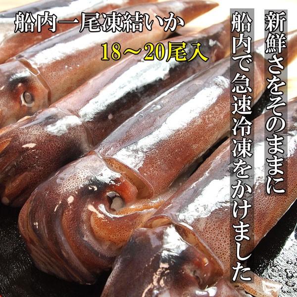 船内一尾凍結いか18〜20尾 するめいか