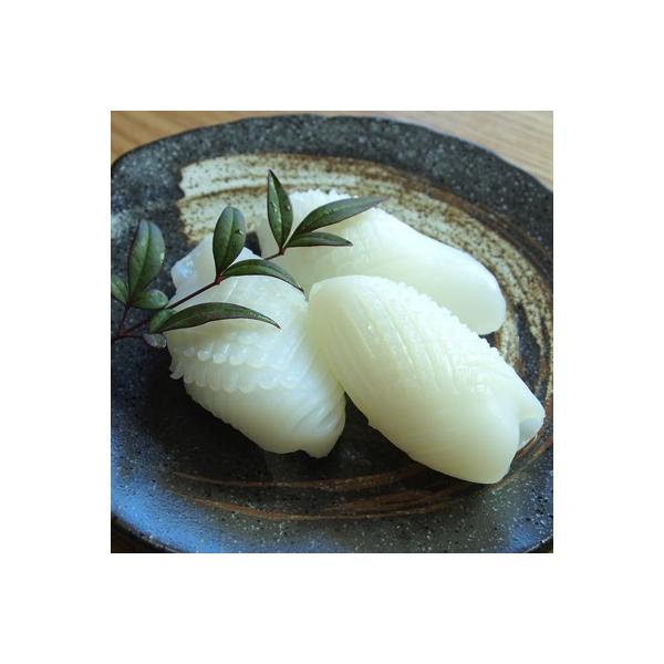 松笠いか 1ｋｇ 甲いか 冷凍いか 冷凍イカ Buyee Servis Zakupok Tretim Licom Buyee Pokupajte V Yaponii