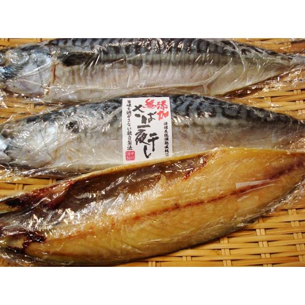さば一夜干し銚子製造5枚 さば文化干し サバ 鯖 Buyee Buyee Japanese Proxy Service Buy From Japan Bot Online