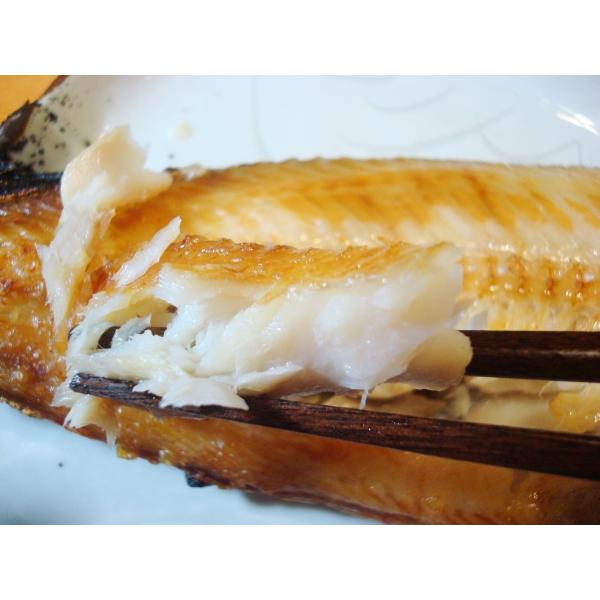 󂠂I܂قg11 Ȃق V}zbP ȃzbP11