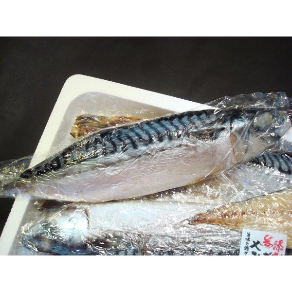 さば文化干し14枚 銚子製造 サバ文化干し 鯖文化干し さば サバ Buyee 日本代购平台 产品购物网站大全 Buyee一站式代购 Bot Online